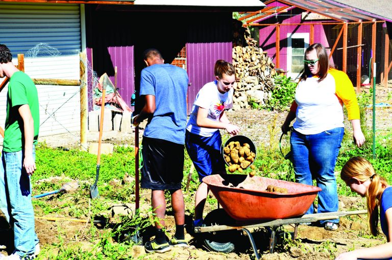 potato project copy copy.jpg