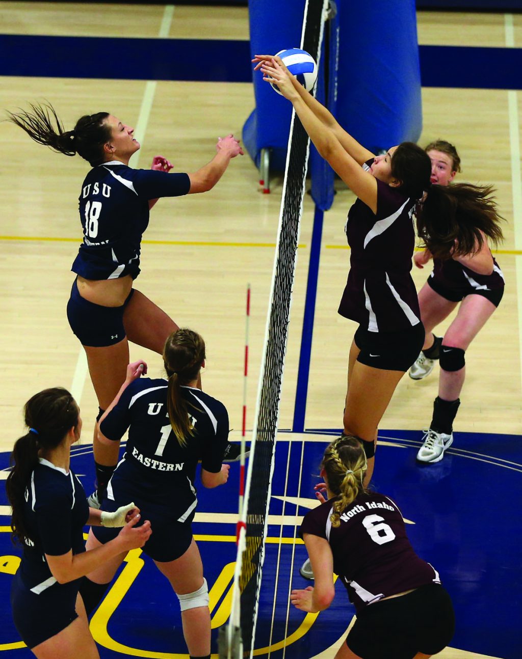 wvb.jpg