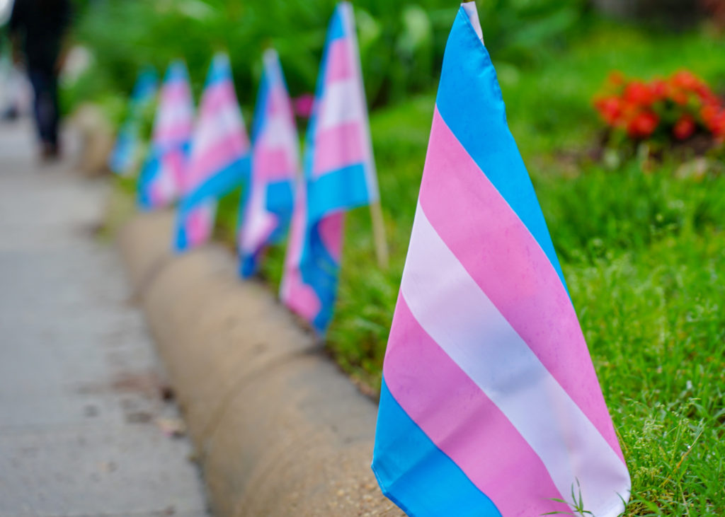 Trans Awareness Week – USU Eastern Eagle