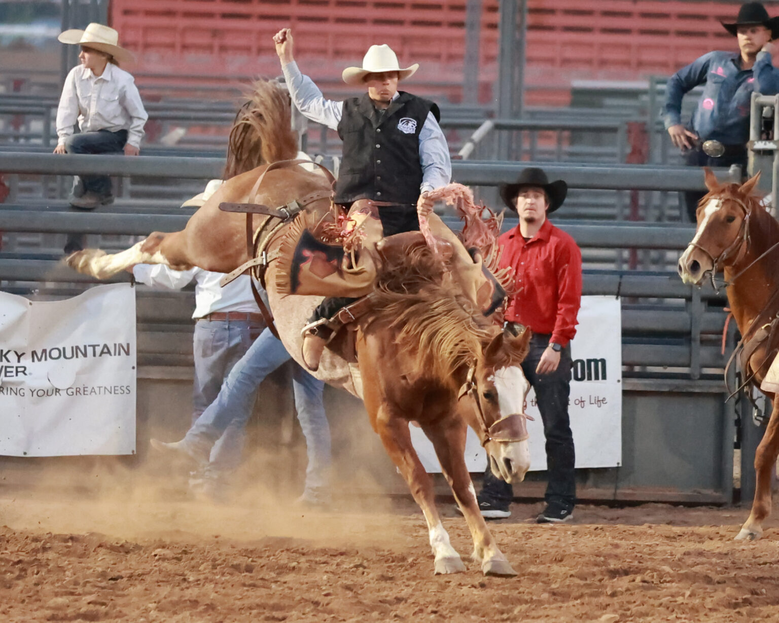 Eastern Rodeo Type Face USU Eastern Rodeo photo gallery – USU Eastern Eagle
