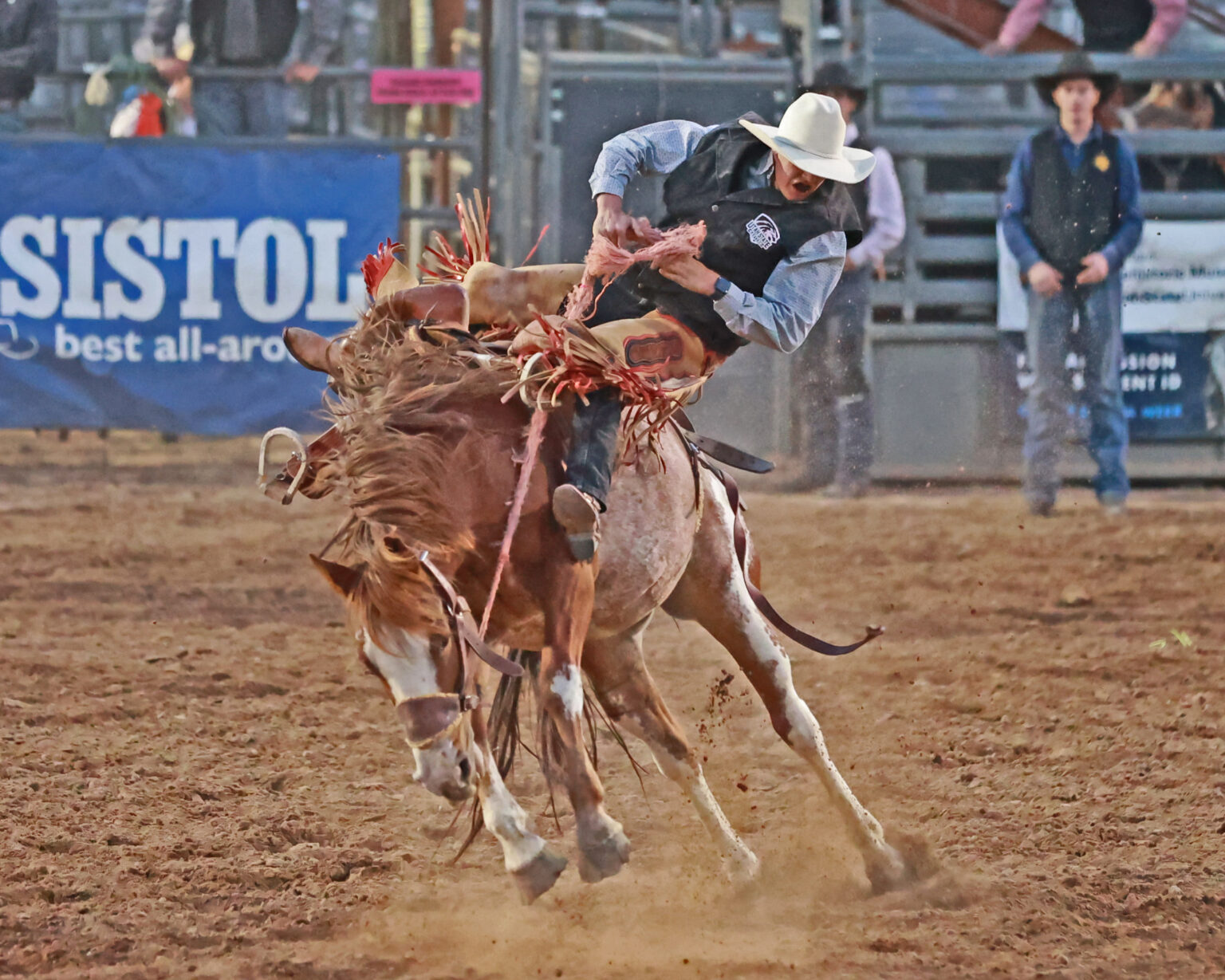 Eastern Rodeo Type Face USU Eastern Rodeo photo gallery – USU Eastern Eagle