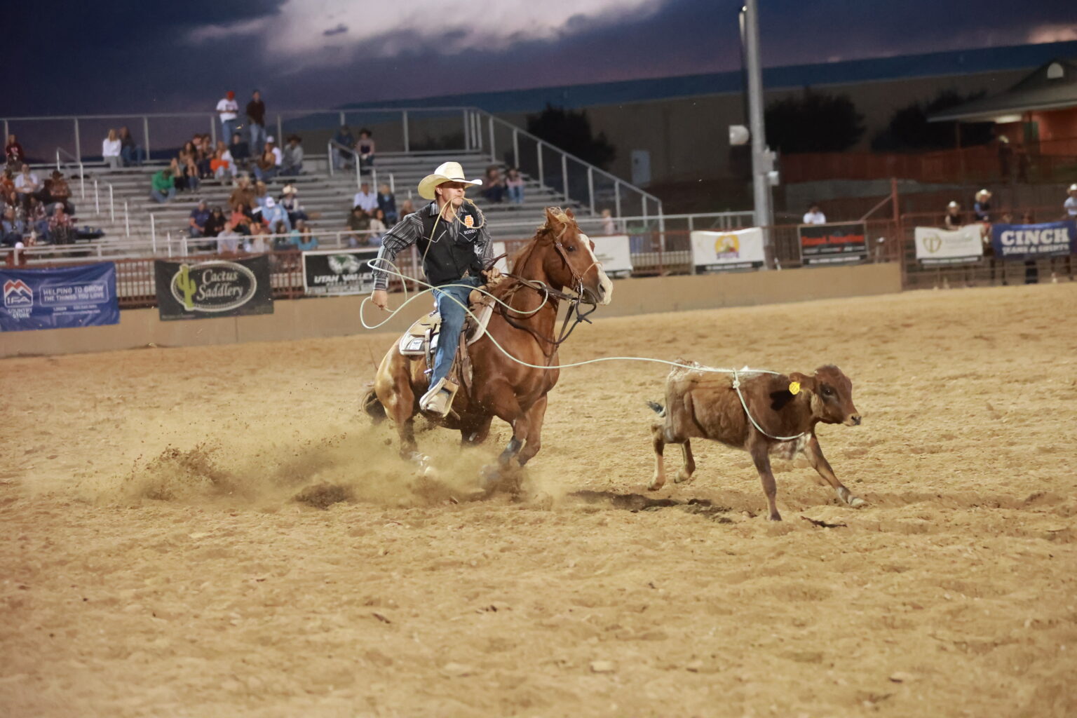 Eastern Rodeo Type Face USU Eastern Rodeo photo gallery – USU Eastern Eagle