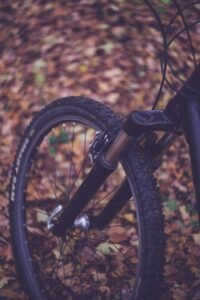 black bicycle wheel on brown leaves